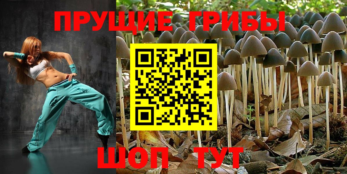 Галлюциногенные грибы Psilocybe  Галлюциногенные грибы Magic Shrooms  Вход с VPN  Муравленко 