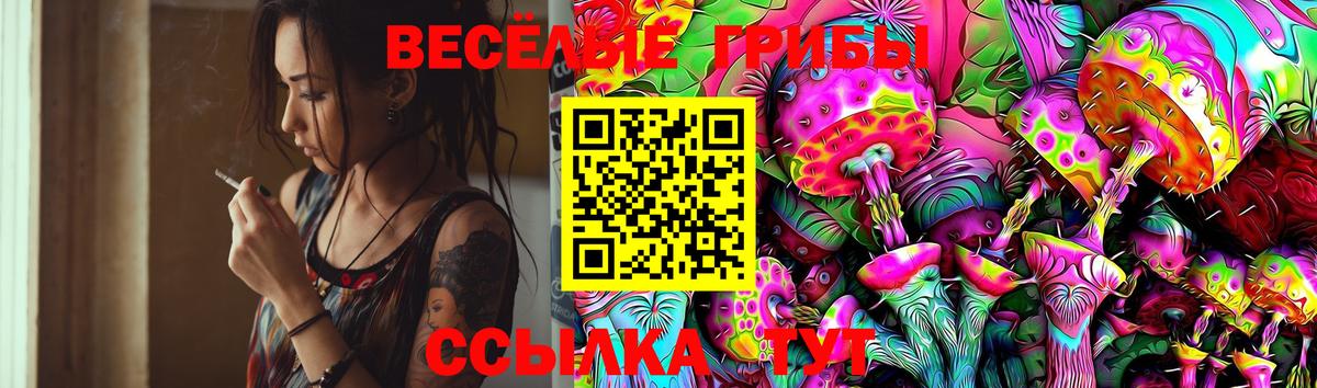 Псилоцибиновые грибы Psilocybine cubensis Муравленко
